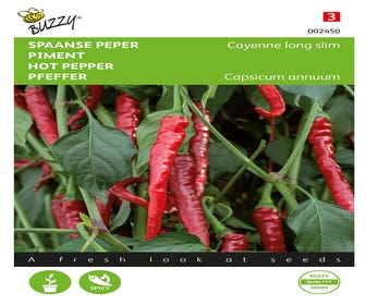 Spanischer Pfeffer Cayenne lang schlank