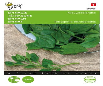 Neuseeländischer Spinat