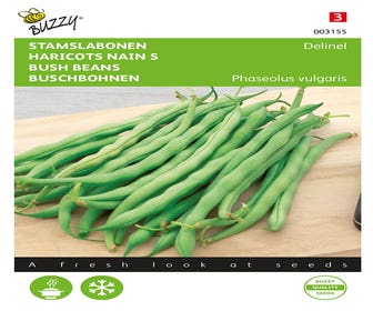 Stangenbohnen Delinel