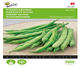 Stangbohnen Record