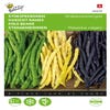 Stangen(Speck)bohnen-Mischung 3 Farben 25g