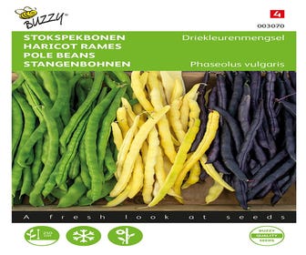 Stangen(Speck)bohnen-Mischung 3 Farben 25g