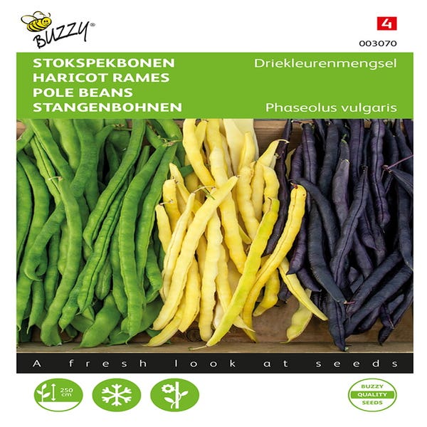 Stangen(Speck)bohnen-Mischung 3 Farben 25g