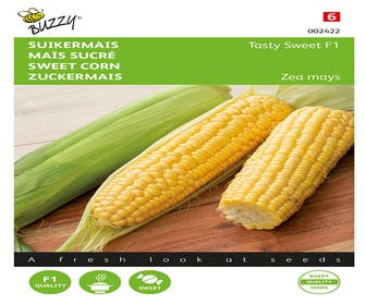 Zuckermais Tasty Sweet F1