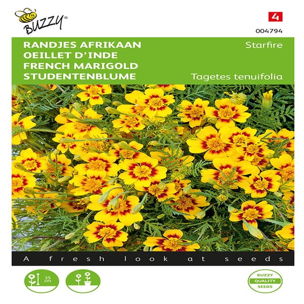 Randjes Afrikaner (Tagetes tenuifolia 'Starfire')