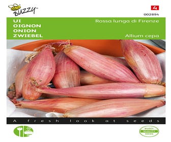 Rote lange Zwiebel aus Florenz