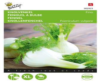 Fenchel (Zefa) Fino