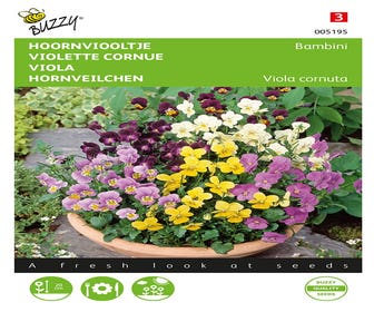 Viola, Hoornviooltje Bambini gemengd