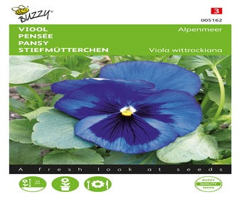 Geige Alpenmeer (Viola wittrockiana 'blauw')