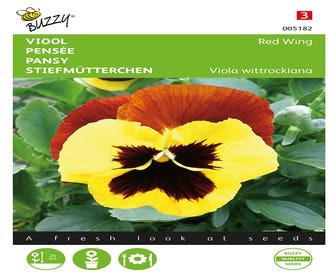 Viole (Viola wittrockiana 'Red Wing')