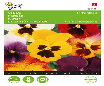 Stiefmütterchen, Viool Trimardeau gemischt