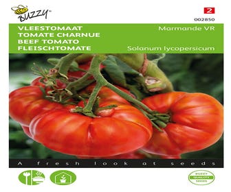 Fleischtomate Marmande VR