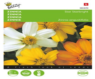 Zinnia Star Starbright gemischt