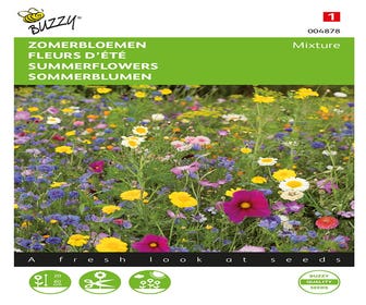 Sommerblumen gemischt