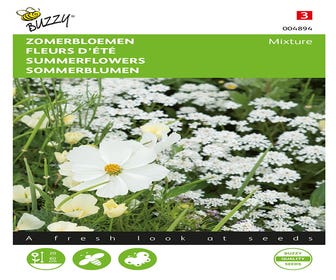 Sommerblumen Weiß Mischung