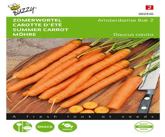 Sommerkarotte Amsterdamse Bak 2