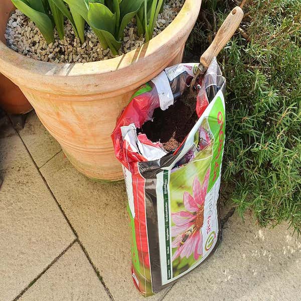 Directplant.nl Blumenerde