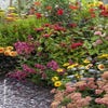 Buntes Beetpaket