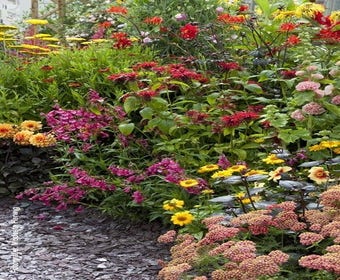 Buntes Beetpaket