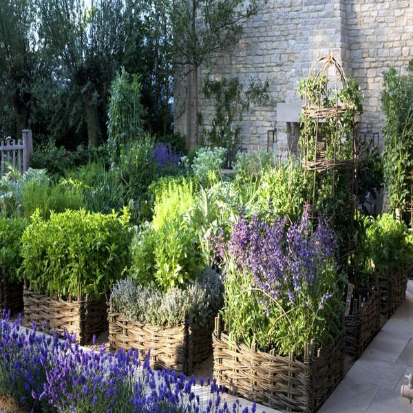 Beetpaket Kräutergarten (4 m²)