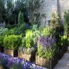 Beetpaket Kräutergarten (2 m²)