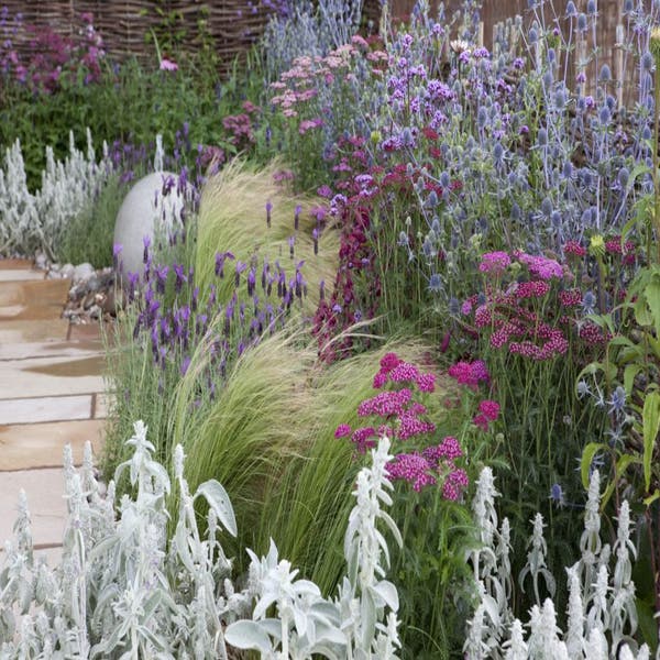 borderpakket roze en blauw