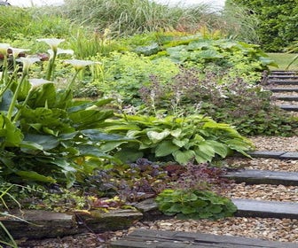 Beetpaket feuchter Beet