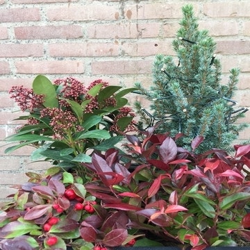 Herbstpaket 1