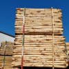 Baumstützenset Kastanienholz 250cm Länge (2 Stützen inkl. Band und Nägel!)