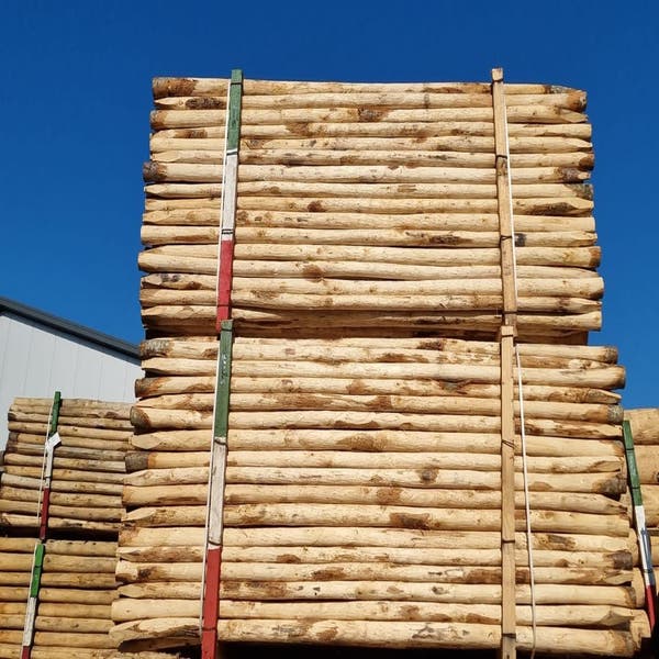 Baumstützenset Kastanienholz 250cm Länge (2 Stützen inkl. Band und Nägel!)
