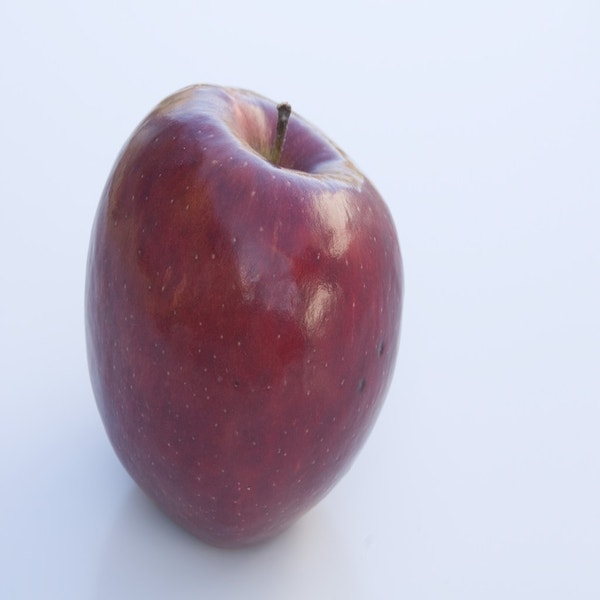 Lei-Apfel (Malus domestica 'Braeburn')