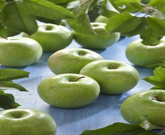 Apfelbaum (Malus domestica 'Granny Smith')