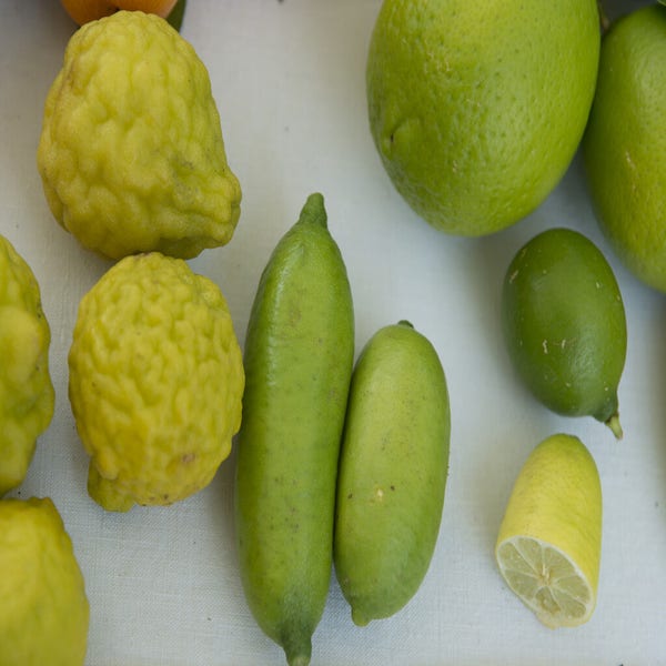 Microcitrus australasica (vingerlimoen of limoenkaviaar)