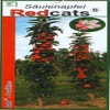 Säulenapfel (Malus domestica 'Redcats')