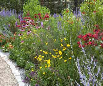 Beetpaket Schmetterlingsgarten (2 M²)