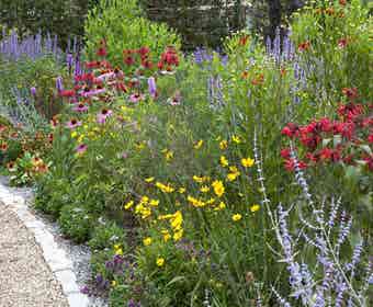 Beetpaket Schmetterlingsgarten (2 M²)