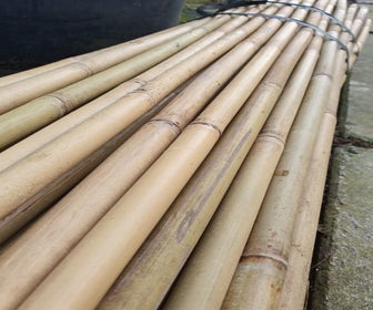Bambusstöcke 120cm