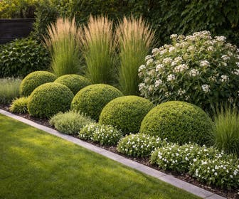 Plantpakket Wintergroene Wolkvormen