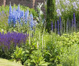 Beetpaket Sommer in Blau, Violett und Weiß (2 M²)