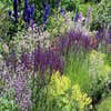 Beetpaket Sommer in Blau und Grün-Gelb (4,5 M²)