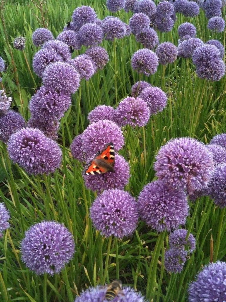 Wir liefern CO2-neutral!