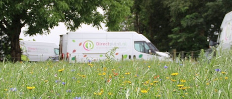 Wir liefern CO2-neutral!