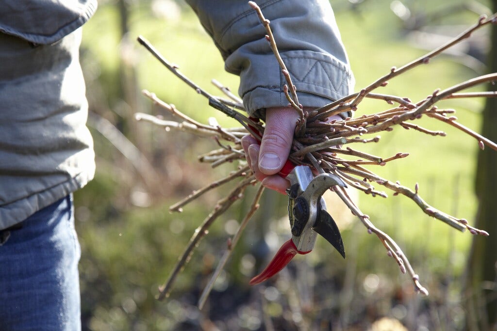 Wir liefern CO2-neutral!