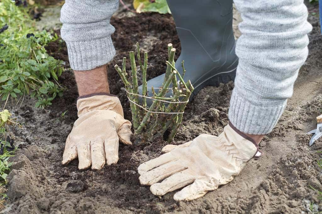 Garantie op alle planten