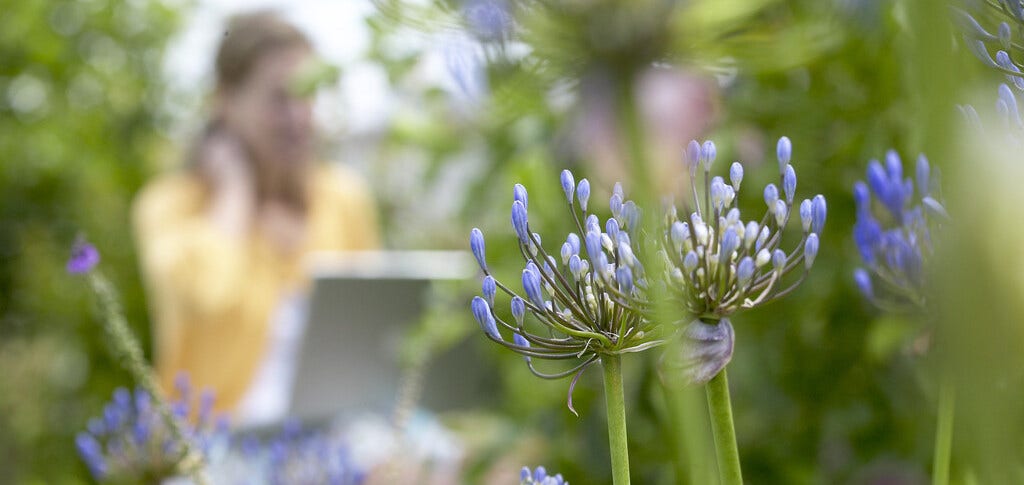 Makkelijk planten bestellen online