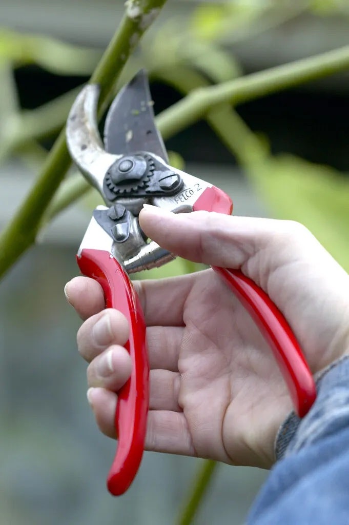 Gartengerät - Gartenschere