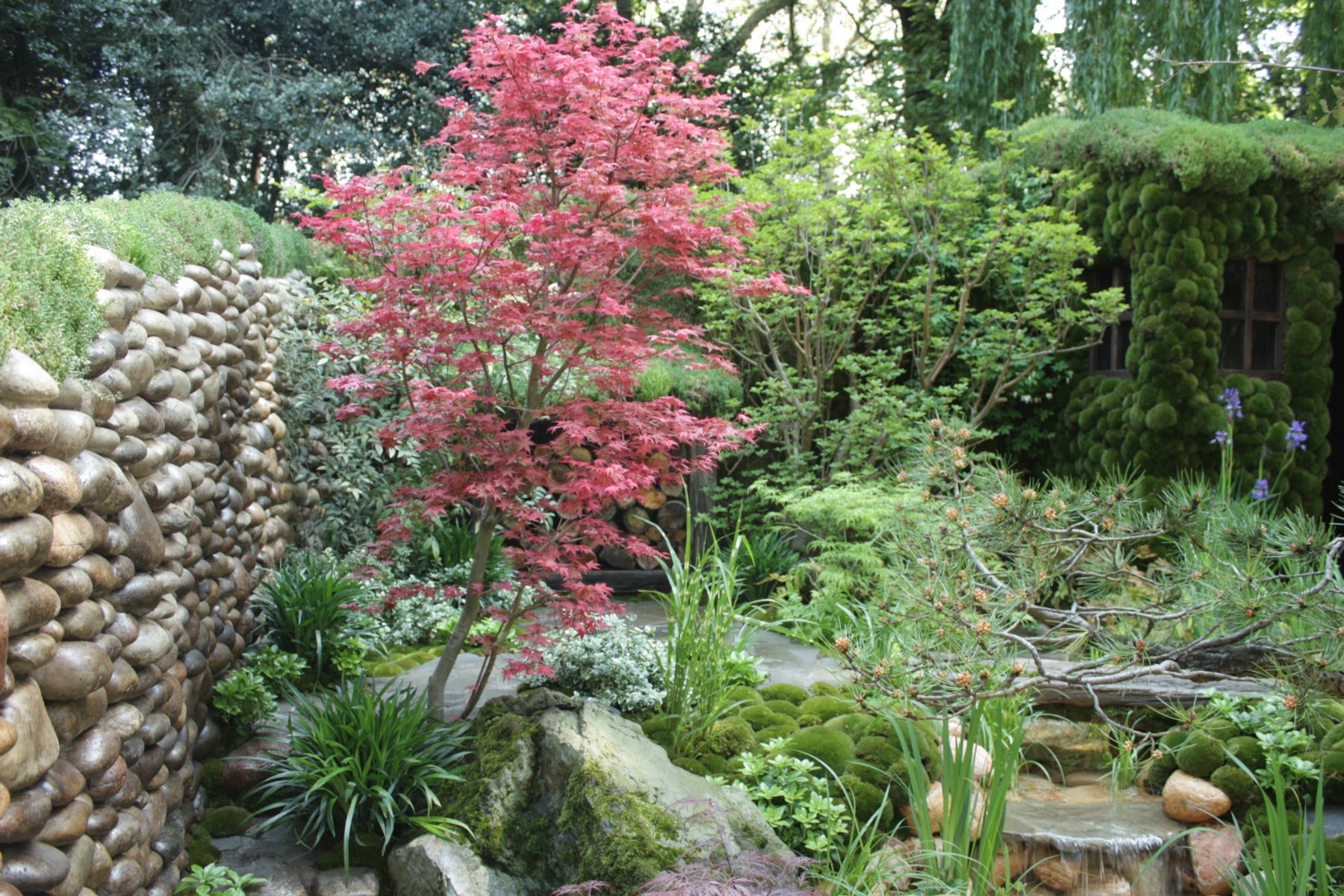 Japanischer Garten Überblick