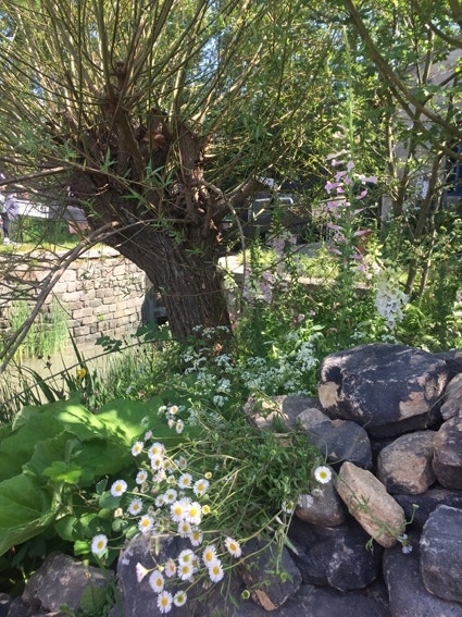 Natürlicher nachhaltiger Garten - Biodiversität