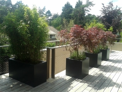 Polyester-Pflanzenkübel