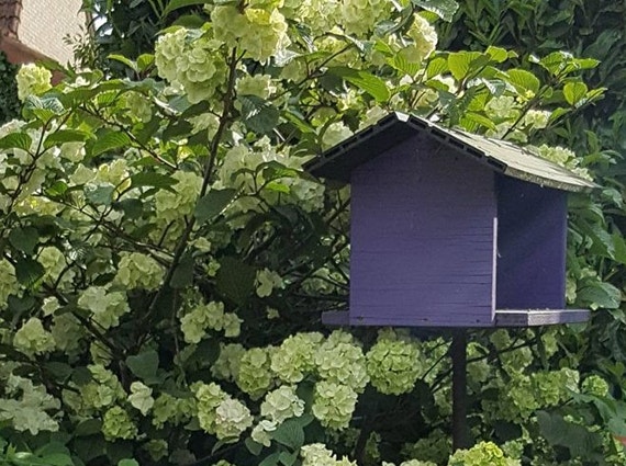 Vogelfreundlicher Garten